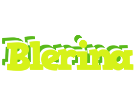 Blerina citrus logo