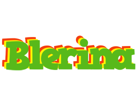 Blerina crocodile logo