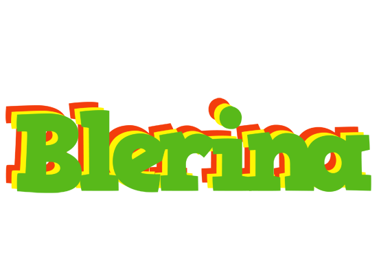 Blerina crocodile logo