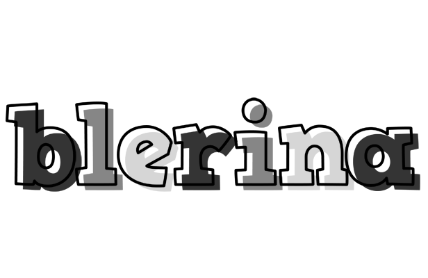 Blerina night logo