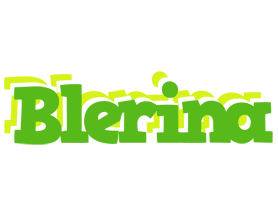 Blerina picnic logo