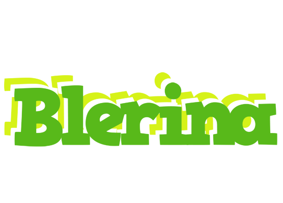 Blerina picnic logo