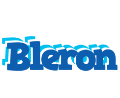 Bleron business logo