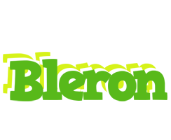 Bleron picnic logo