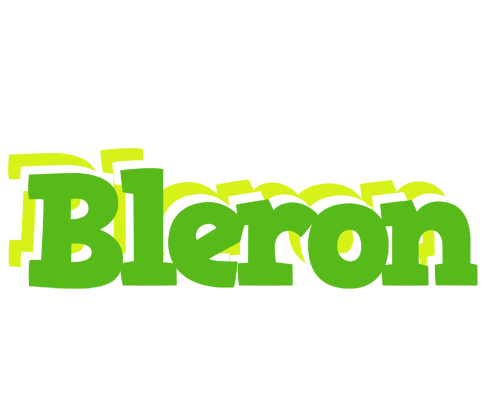 Bleron picnic logo