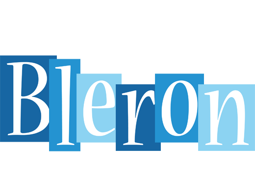 Bleron winter logo