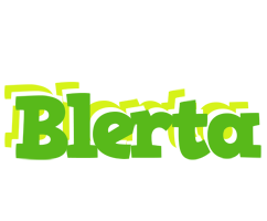 Blerta picnic logo