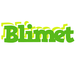 Blimet picnic logo