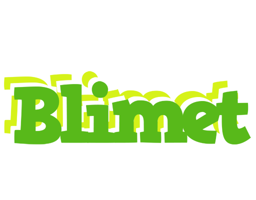 Blimet picnic logo