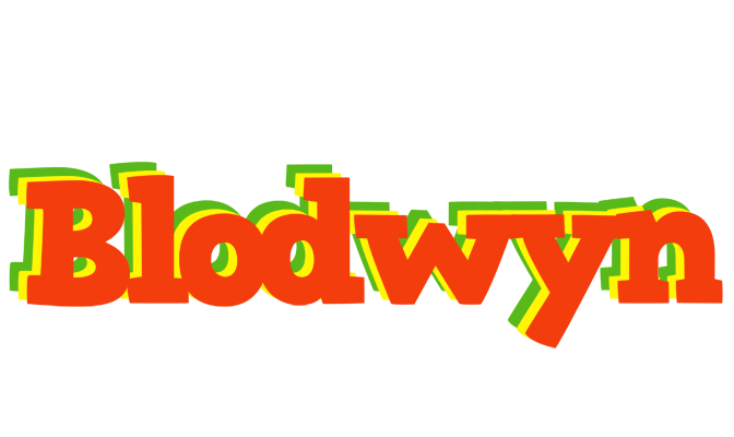 Blodwyn bbq logo
