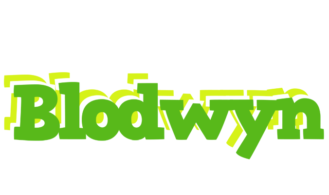 Blodwyn picnic logo