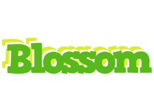 Blossom picnic logo