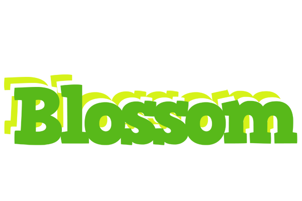 Blossom picnic logo