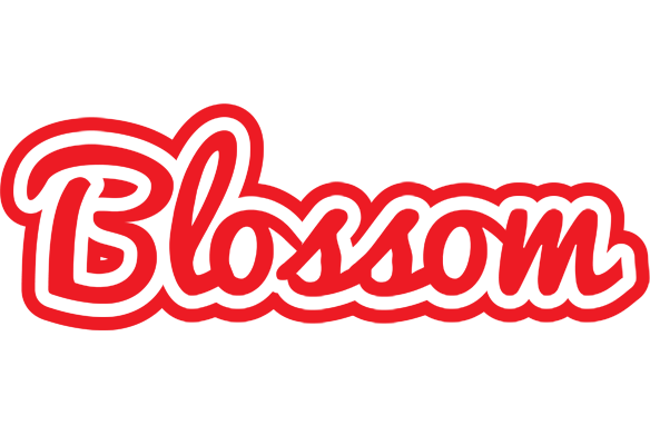 Blossom sunshine logo