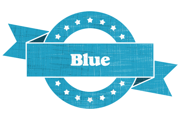 Blue balance logo