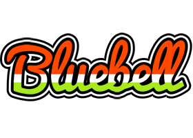 Bluebell exotic logo