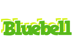 Bluebell picnic logo