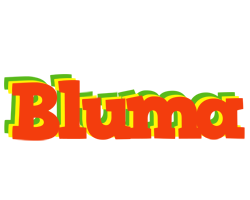 Bluma bbq logo