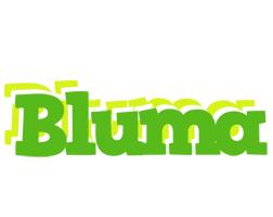 Bluma picnic logo