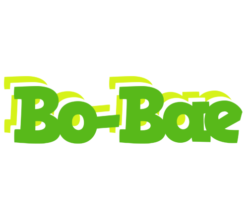 Bo-Bae picnic logo