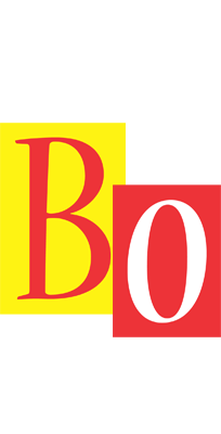 Bo errors logo