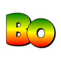 Bo mango logo