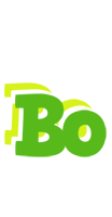 Bo picnic logo