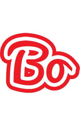 Bo sunshine logo