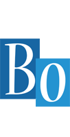 Bo winter logo