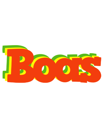 Boas bbq logo