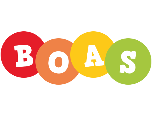 Boas boogie logo