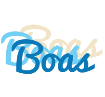 Boas breeze logo