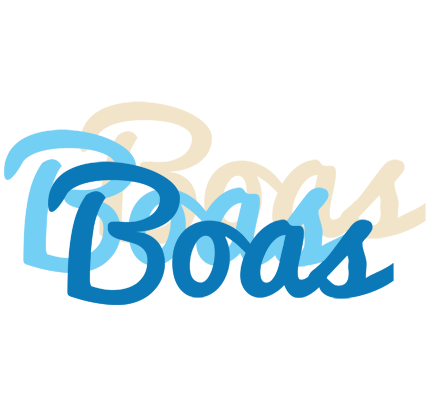 Boas breeze logo