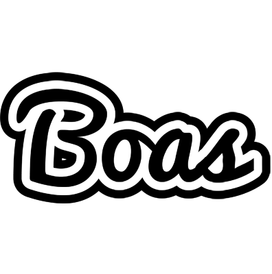 Boas chess logo