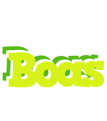 Boas citrus logo