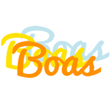 Boas energy logo