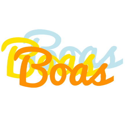 Boas energy logo
