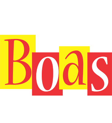 Boas errors logo