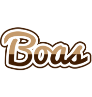 Boas exclusive logo