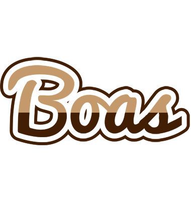 Boas exclusive logo