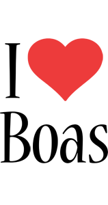 Boas i-love logo