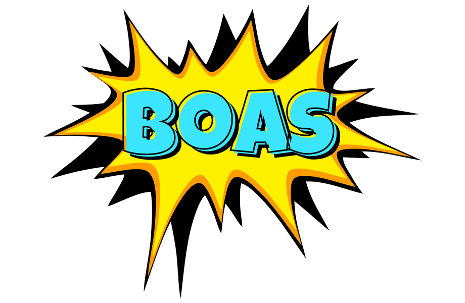 Boas indycar logo