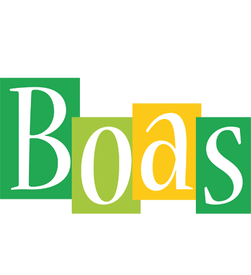 Boas lemonade logo