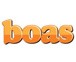 Boas orange logo