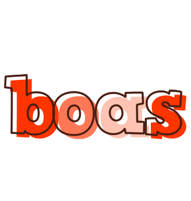Boas paint logo