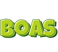 Boas summer logo