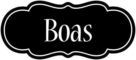 Boas welcome logo