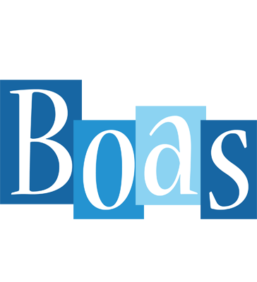 Boas winter logo