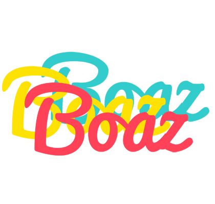 Boaz disco logo