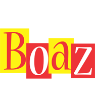 Boaz errors logo